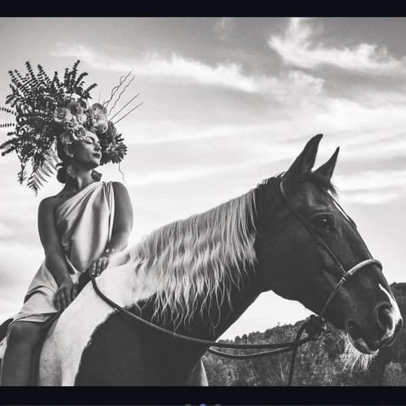 Meet your Posher, Savanah - Picture 1 of 1